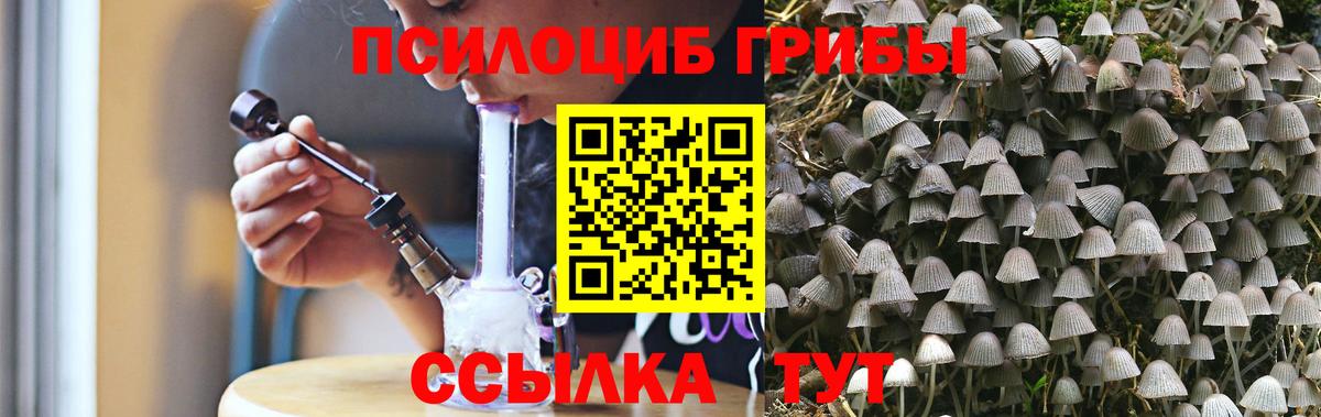 Назрань  Псилоцибиновые грибы MAGIC MUSHROOMS  Вход с VPN 