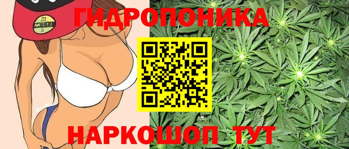 Шишки марихуана планчик Назрань